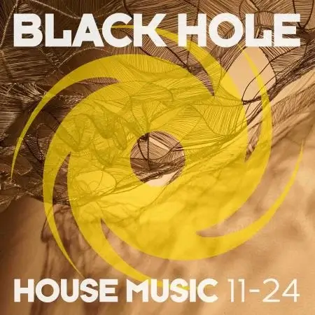 VA | Black Hole House Music 11-24 2024 год Скачать Онлайн в Mp3 (Бесплатно)